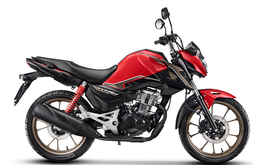 Imagem do modelo CG 50 anos